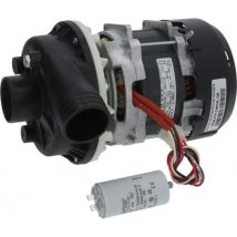 Motor completo para máquina de loiça industrial Colged BETA250, Elettrobar 500543